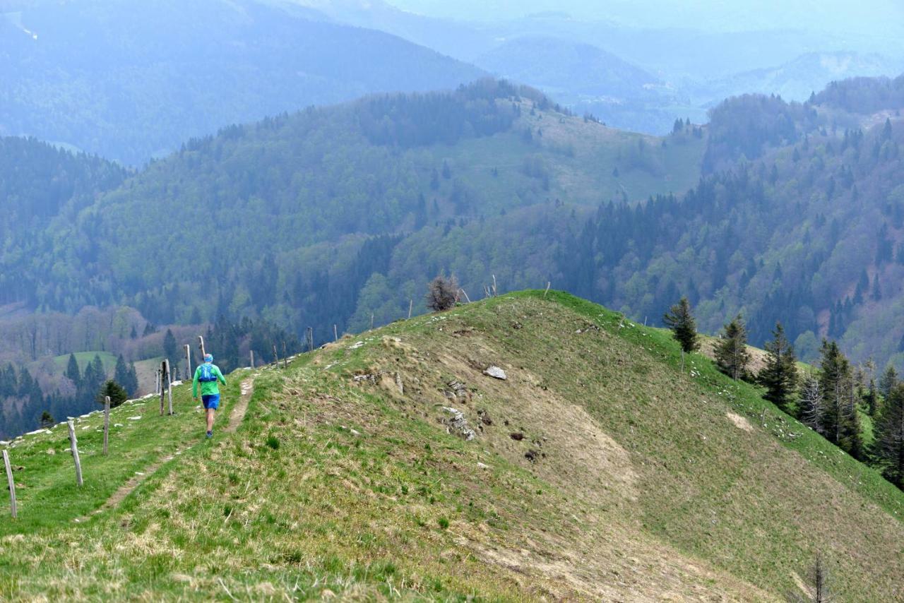 Holiday Home Davca Cerkno Kültér fotó