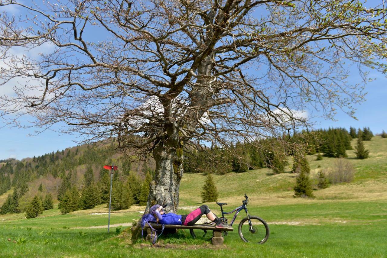 Holiday Home Davca Cerkno Kültér fotó